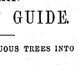 Pamphlet promoting the virtues of introduced trees.