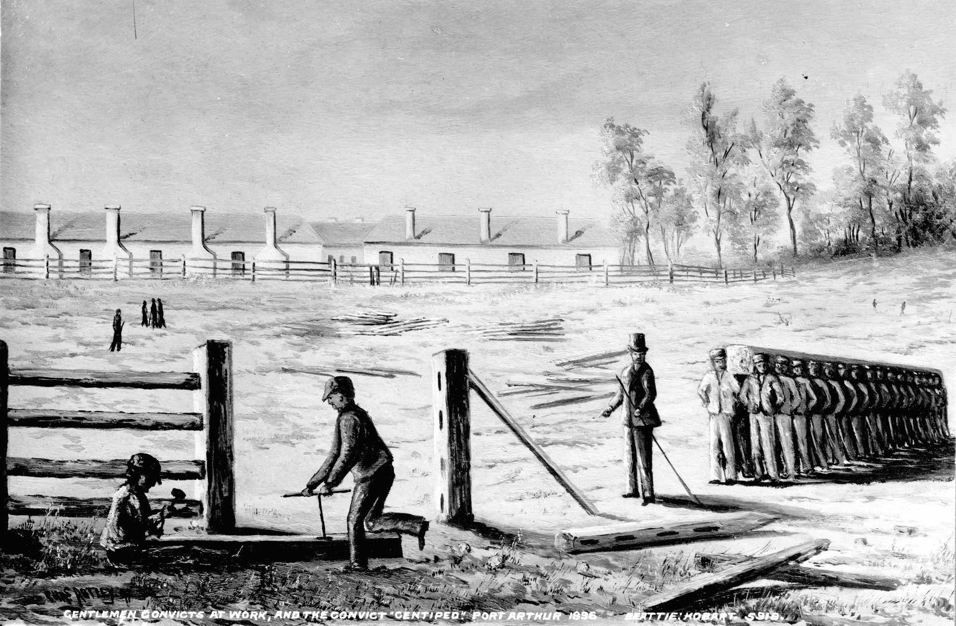Convicts in Port Arthur carrying a long log on their shoulders during fence construction.