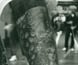 Close-up of the tattooed arm of a prisoner at Pentridge.